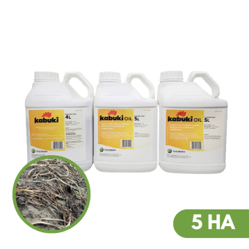 KABUKI PAK 5HA DESYKANT (KABUKI 4L + KABUKI OIL 2X5L)