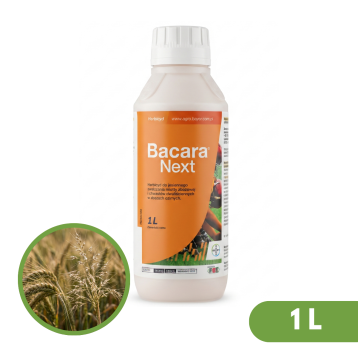 BACARA NEXT 1l