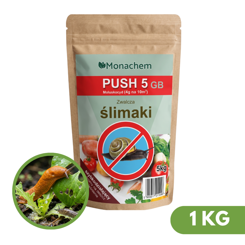 PUSH 5GB 1KG