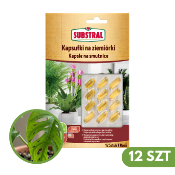 SUBSTRAL KAPUSŁKI NA ZIEMIÓRKI 12 SZT/BLISTER