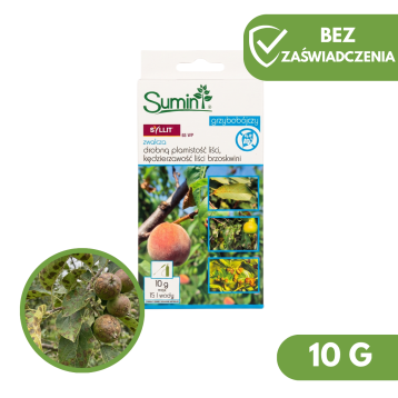 SYLLIT 65 WP 10G SUMIN - BEZ ZAŚWIADCZENIA