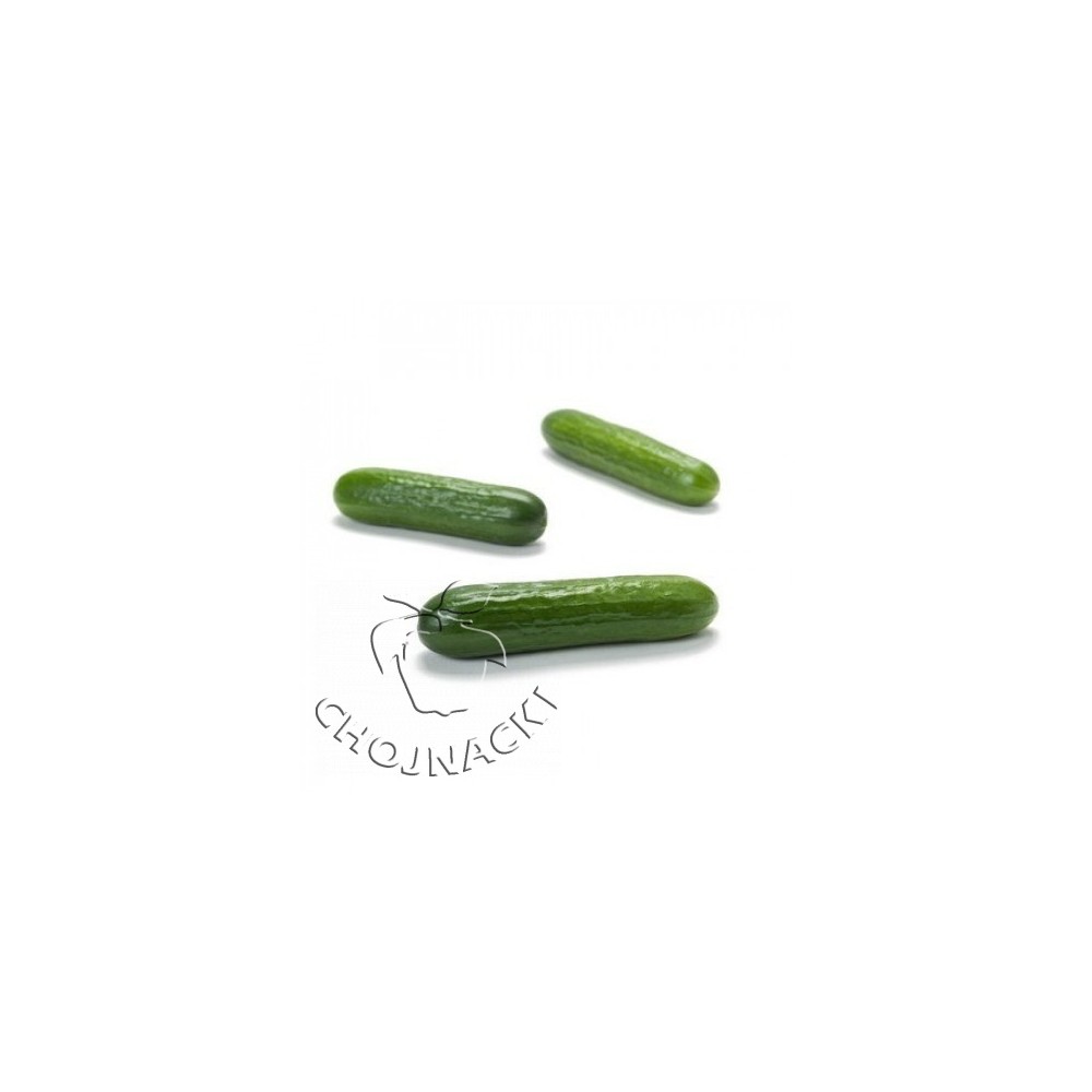 OGÓREK MINI PRECYZYJNY DELTASTAR RZ F1 (22-03) 100 NAS