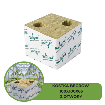 KOSTKA BEGROW 100X100X65 (2X25X37) 2 OTWORY