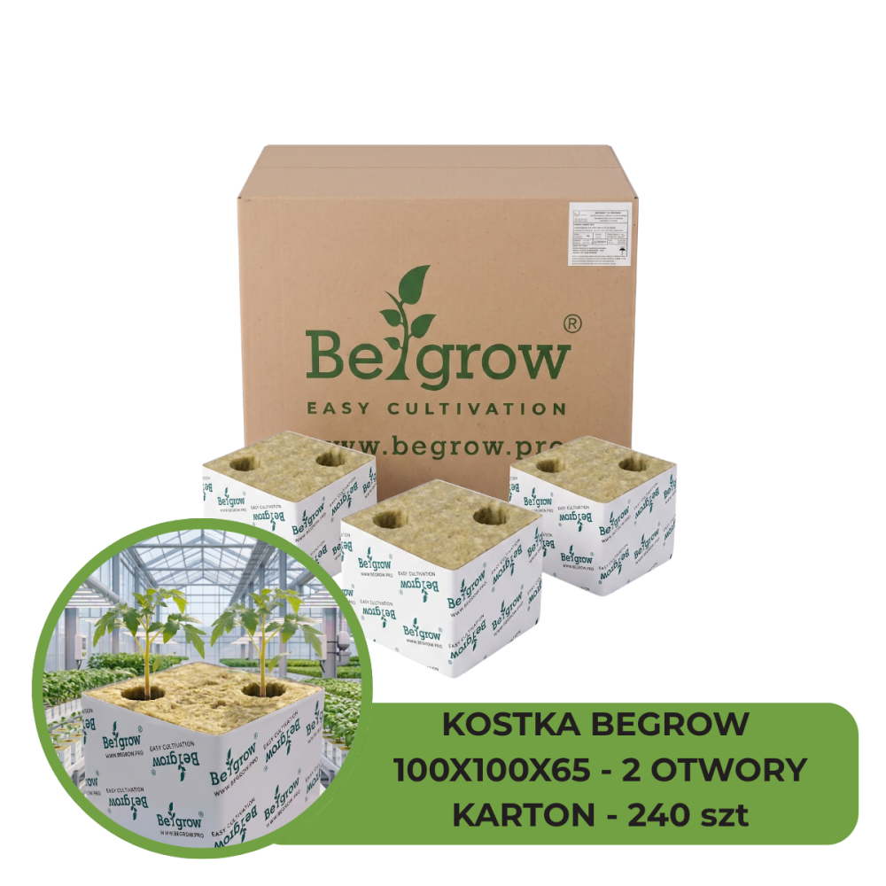 KOSTKA BEGROW 100X100X65 (2X25X37) 2 OTWORY - KARTON 240 SZT