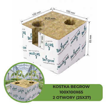 KOSTKA BEGROW 100X100X65 (2X25X37) 2 OTWORY