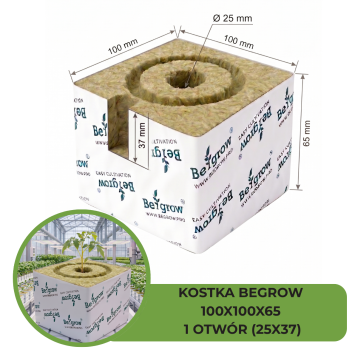 KOSTKA BEGROW 100X100X65 (1X25X37) 1 OTWÓR