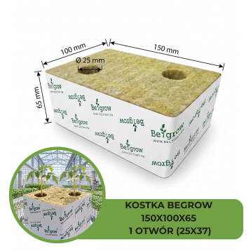 KOSTKA BEGROW 150X100X65 (2X25X37) 2 OTWORY