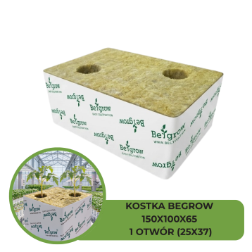 KOSTKA BEGROW 150X100X65 (2X25X37) 2 OTWORY