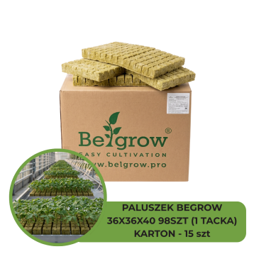 PALUSZEK BEGROW 36X36X40 98SZT (1 TACKA) - KARTON 15SZT