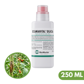 SCANIAVITAL SILICA PASTA 250ML