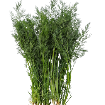 KOPER SOREN 250G
