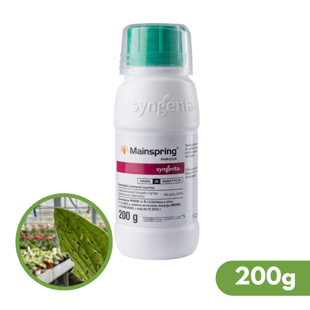 MAINSPRING 200G