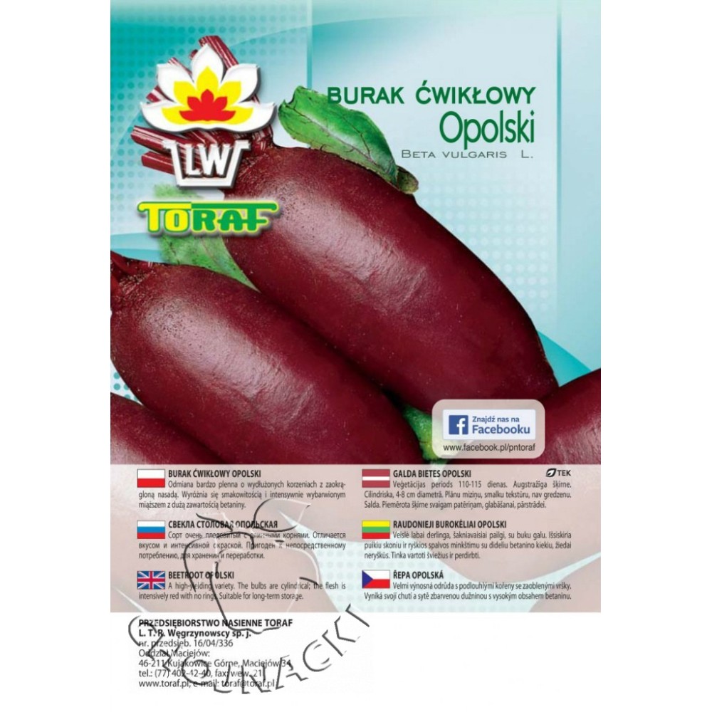 BURAK ĆWIKŁOWY PODŁUŻNY OPOLSKI 500G