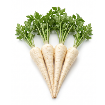 PIETRUSZKA ATIKA STAND 250G