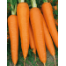 Marchew Flakkese 2 50GR