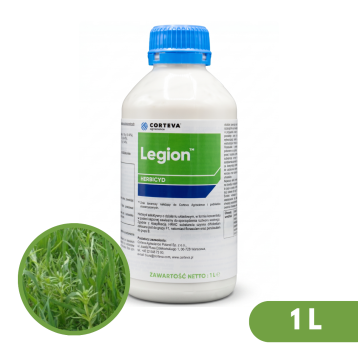 LEGION 1L