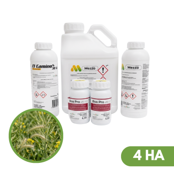 PAK NA RZEPAK MEZZO + BOA + EL CAMINO 4 HA
