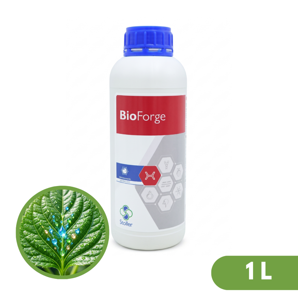 BIOFORGE 1L