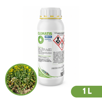 CLEMATIS 480 EC 1L