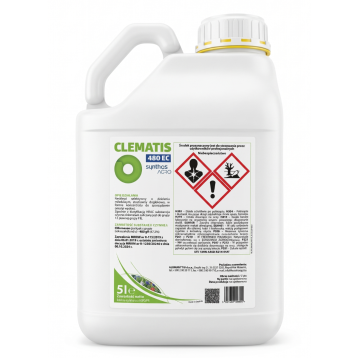 CLEMATIS 480 EC 5L