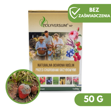 POLYVERSUM WP 50G HOBBY