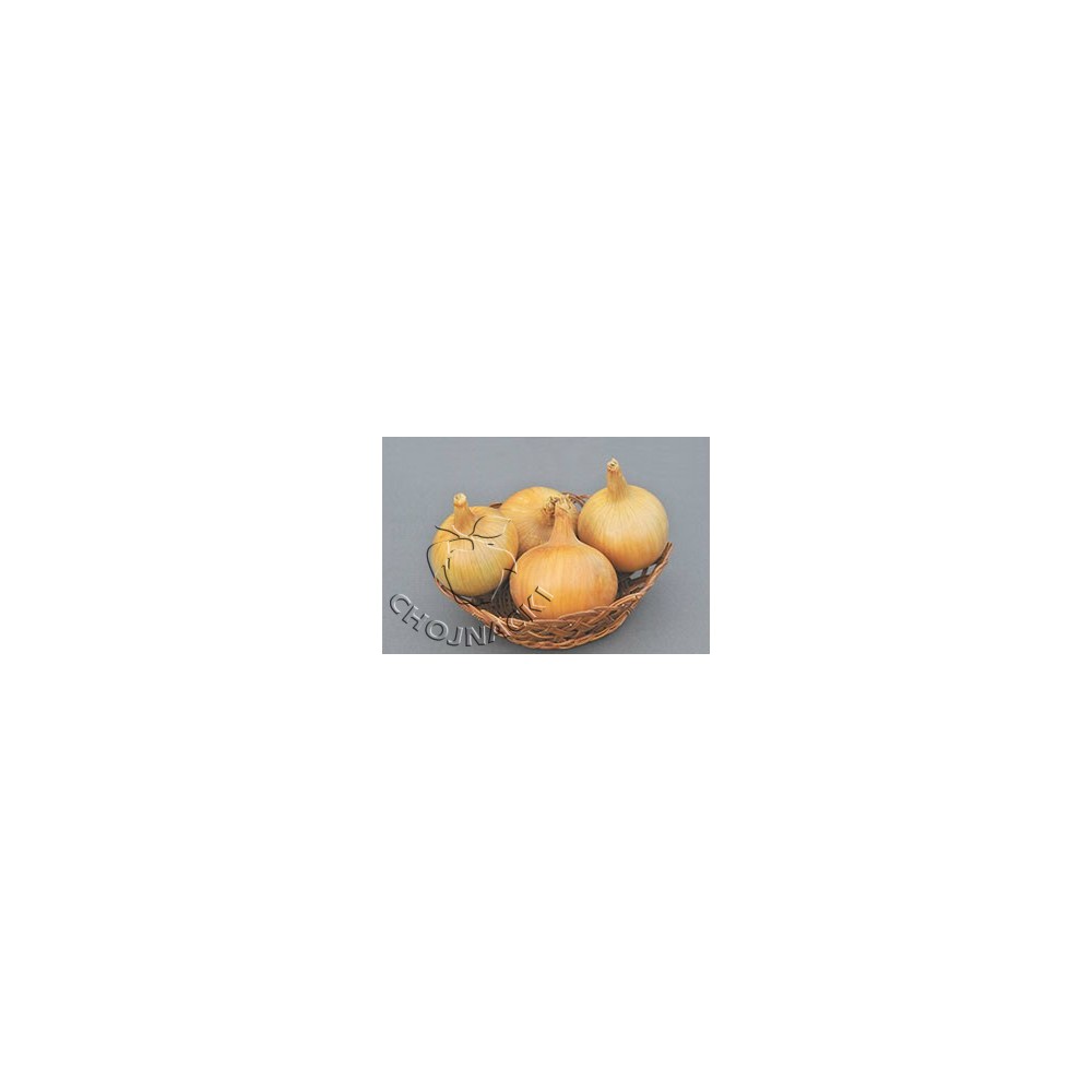 CEBULA ARMSTRONG 250 TYS PRECYZYJNE