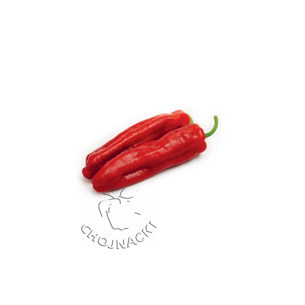 PAPRYKA CRUNCH F1 100 NAS