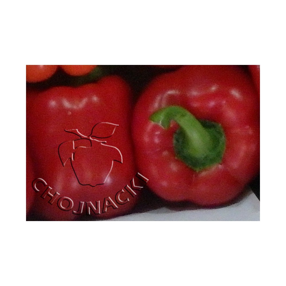 PAPRYKA CZERWONA FELICITA F1 1 TYS