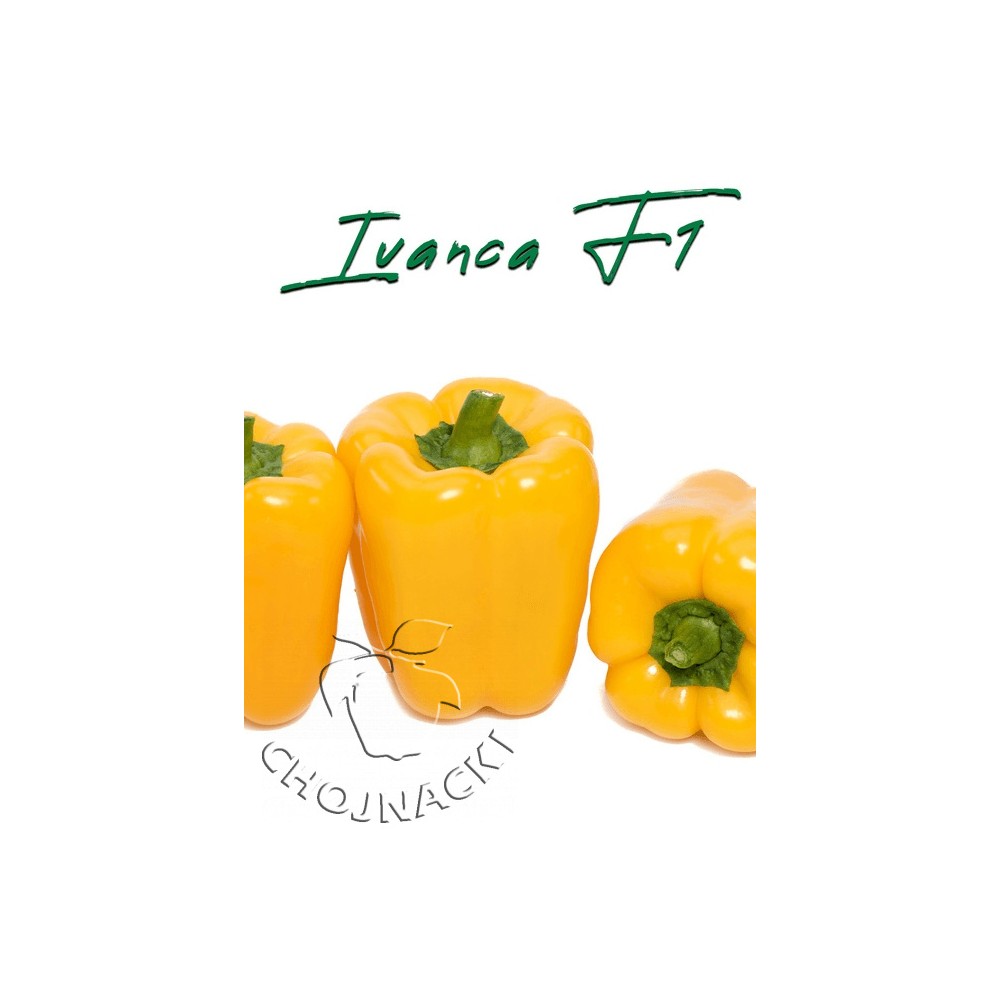 PAPRYKA IVANCA 250 NAS ST