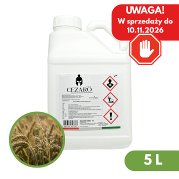 CEZARO 574 SC 5 L