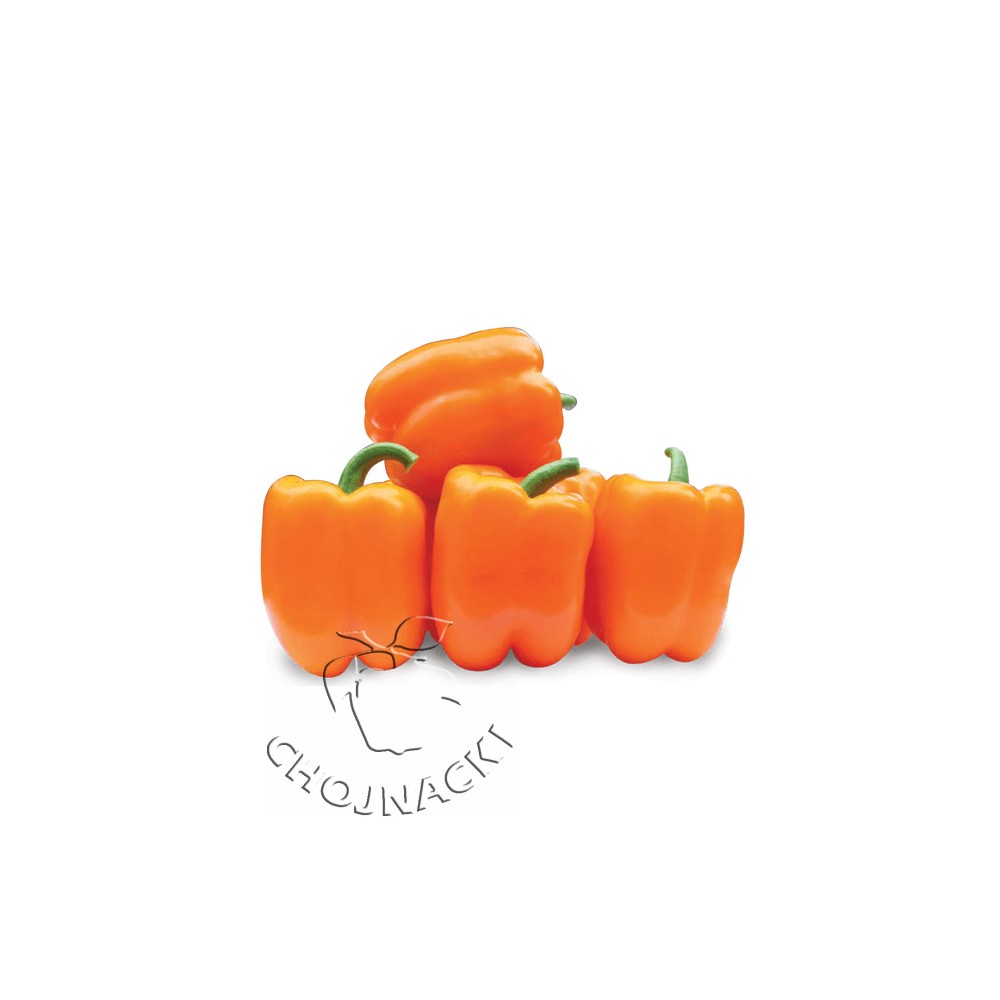 PAPRYKA POMARAŃCZOWA CLEMENTINE F1 250 NAS