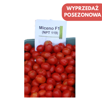 POMIDOR GRUNTOWY MICENO F1 25 TYS OTOCZKOWANY ST