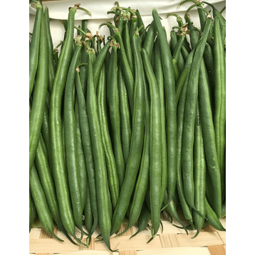 FASOLA RAGGIANTE 100TYS ST