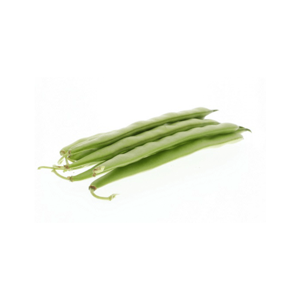 FASOLA SOLFERINA 100TYS ST