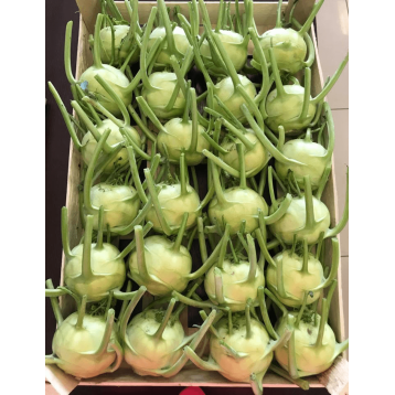 KALAREPA KEYAH 2,5 TYS ST