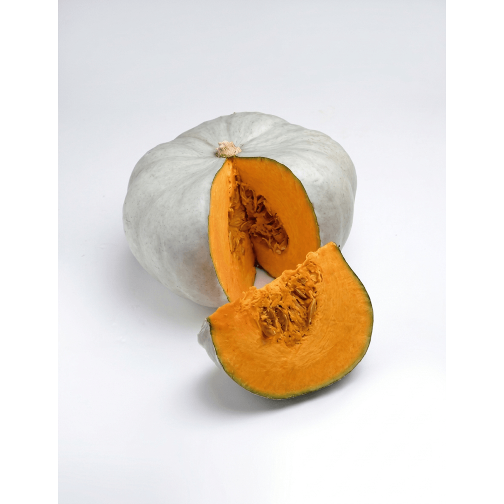 DYNIA NELSON F1 ORGANIC 500 NAS ST