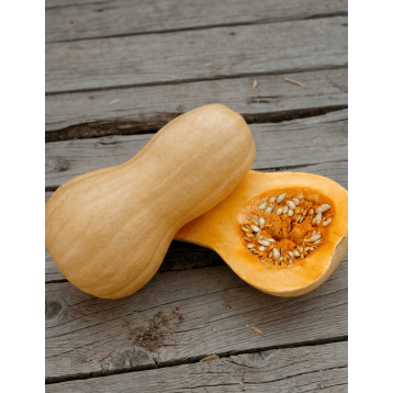DYNIA MATILDA F1 ORGANIC 500N STD