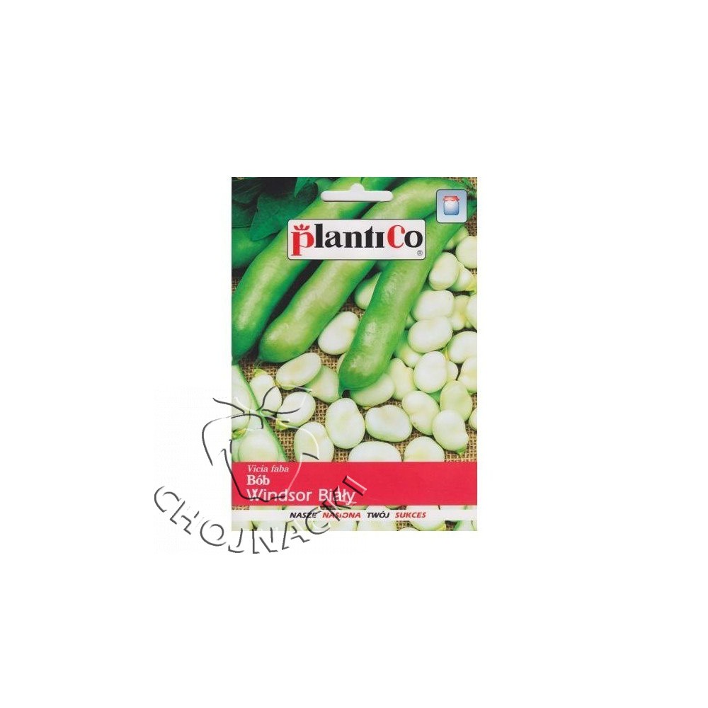 BÓB PÓŹNY WINDSOR BIAŁY 1 KG