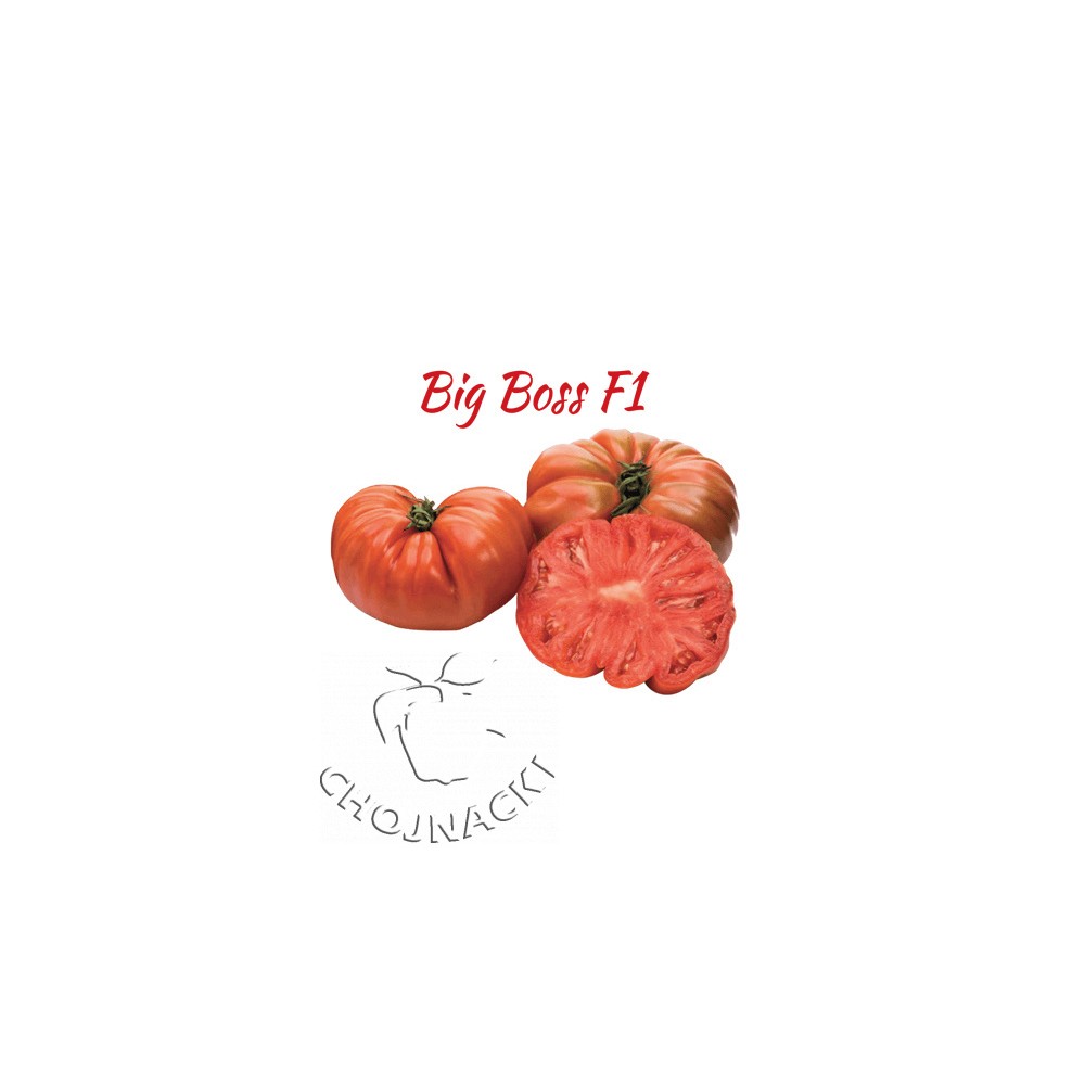POMIDOR BIG BOSS F1 500N