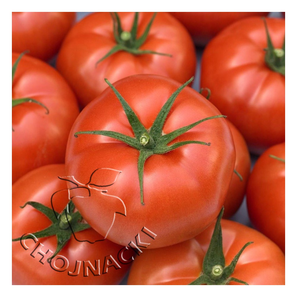 POMIDOR BUVENA 500 NAS ST