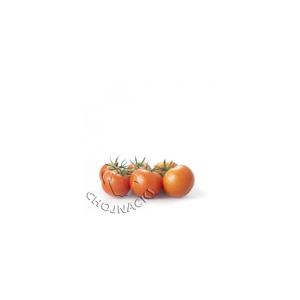 POMIDOR CAPPRICIA RZ F1 1 TYS ST