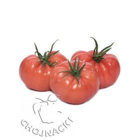 POMIDOR CASSAROSA F1 250 NAS