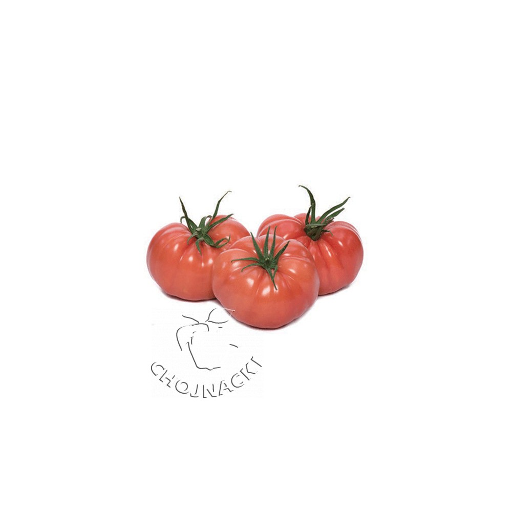 POMIDOR CASSAROSA F1 250 NAS