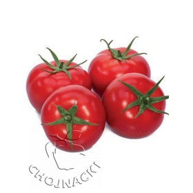 POMIDOR CEMILIA F1 1 TYS