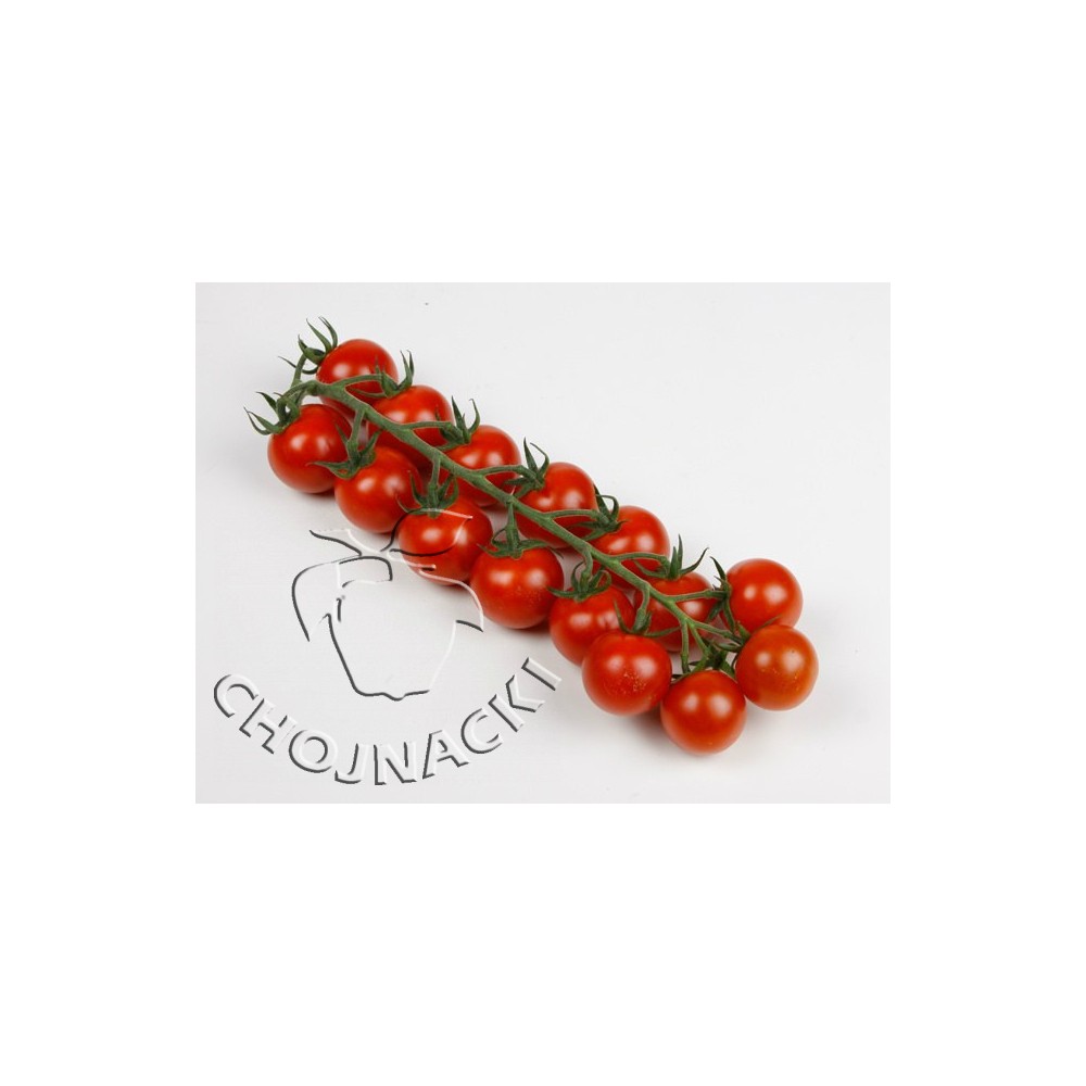 POMIDOR CHERRY TOMAGINO F1 500 NAS ST