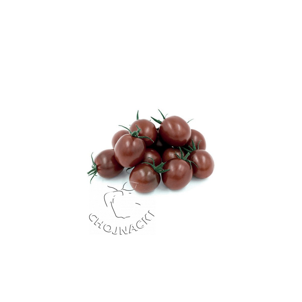 POMIDOR CHOCOLINE F1 1000N