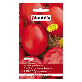 Pomidor Chrobry 10 gr