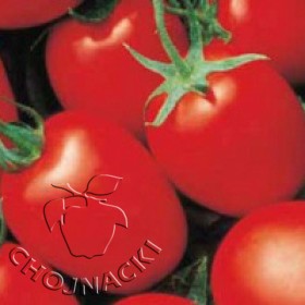 POMIDOR GRUNTOWY BLOCKY GRANDIMAT F1 1 TYS.