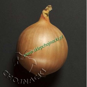 Cebula centro f1 250t precyzyjne