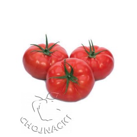 POMIDOR GRUNTOWY MARACANA F1 (MARMARA F1) 1 TYS